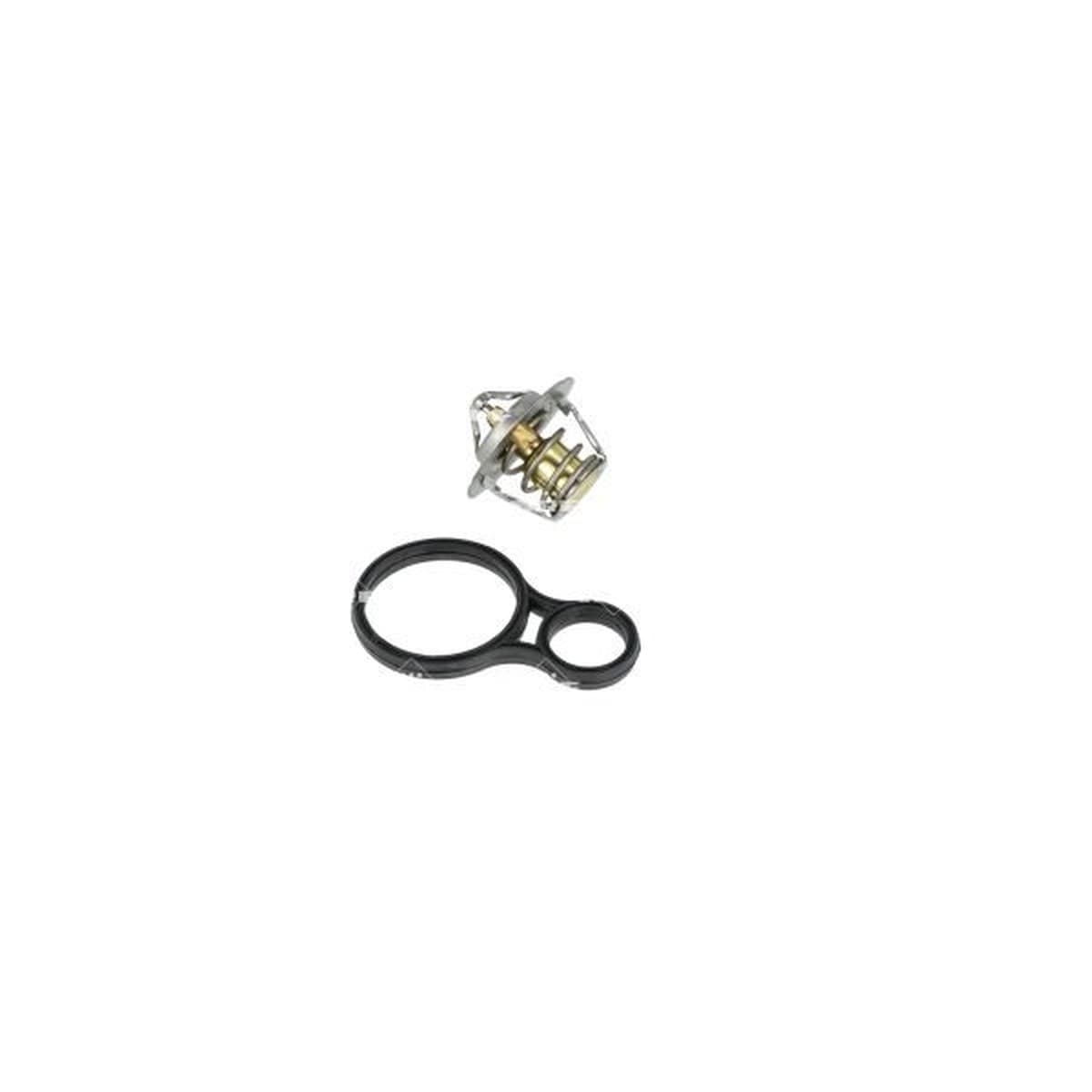 BMW 1 Serisi F40 B47 Termostat