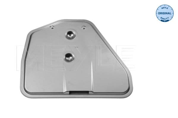 BMW X5 Series E53 2000-2006 Transmission Filtresi