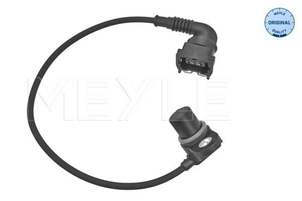 BMW 7 Serisi E38 1994-2001 M62 Eksantrik Mili Sensörü