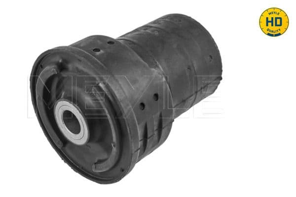 BMW 5 Series E39 1996-2003 Travers Mount Rear