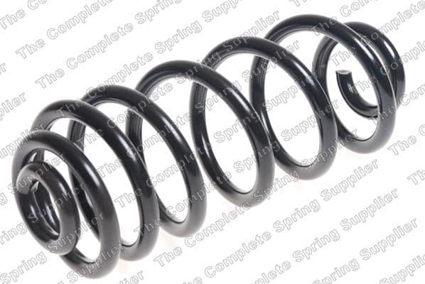 BMW X5 Serisi E70 2007-2013 Helezon Yayı Arka