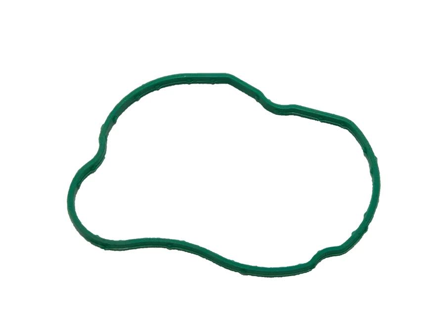 BMW X1 N47N E84 Thermostat Gasket