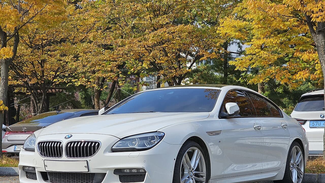 BMW 6 Gran Coupé · F06 araç görünümü