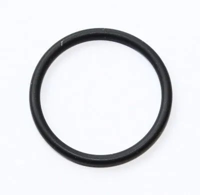 BMW E46 Injector O-Ring