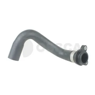 BMW Z4 E89 N20 Termostat Hortumu