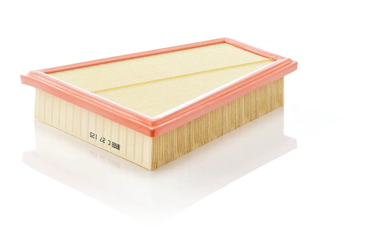 BMW F10 N20 Air Filter
