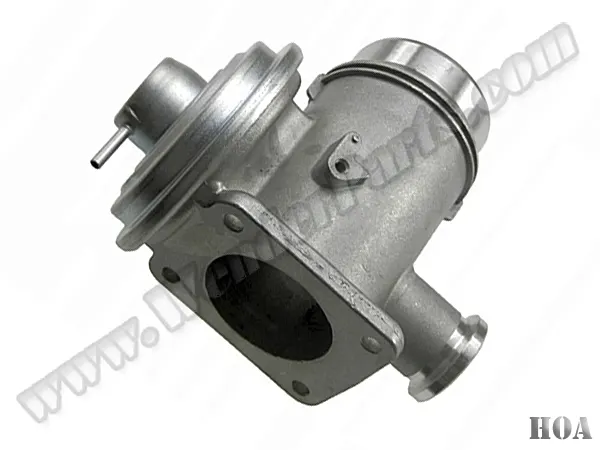 BMW 3 Serisi E46 M57N EGR Valfi
