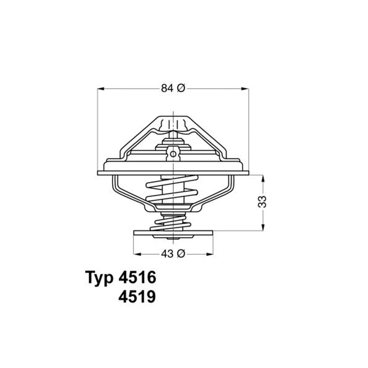 BMW 5 Serisi E34 M60 Termostat