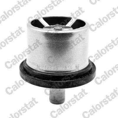 BMW 5 Serisi E34 1987-1996 S38 Termostat