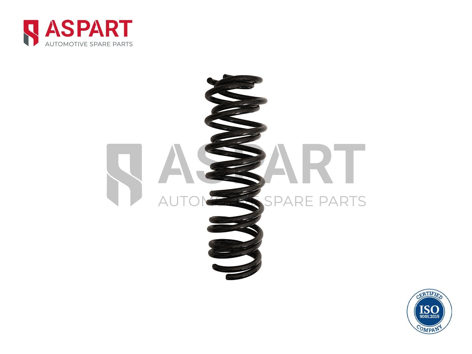BMW 5 Serisi F10 2009-2016 Helezon Yayı Arka