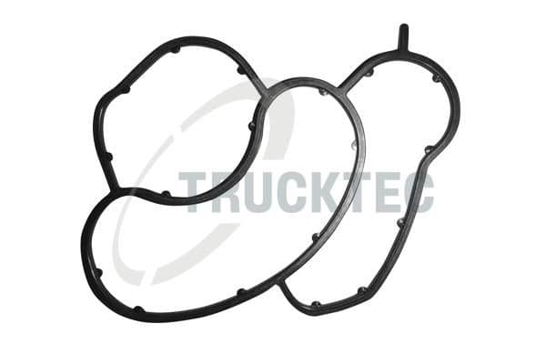BMW 1 Serisi E87 2004-2011 N42 Yağ Filtre Contası
