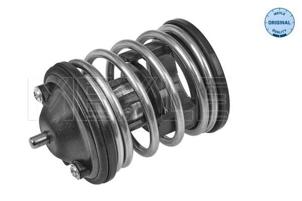 BMW 5 Series E60 2001-2010 N47 Thermostat