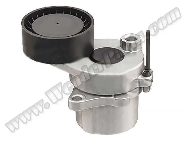 Mercedes C Series W204 OM651 Tensioner Log Pulley